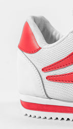 gid://shopify/MediaImage/25707742986310